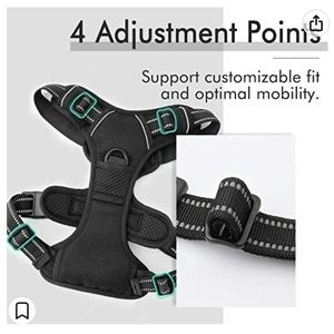 Rabbitgoo Dog Harness (Medium)